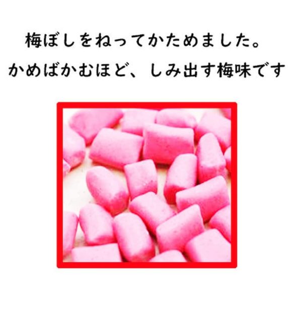 Nobel Neriri Ume Neri Umeboshi Paste Candy Pack of 10 - Unique Flavor Treat Hot on Sale - Image 5