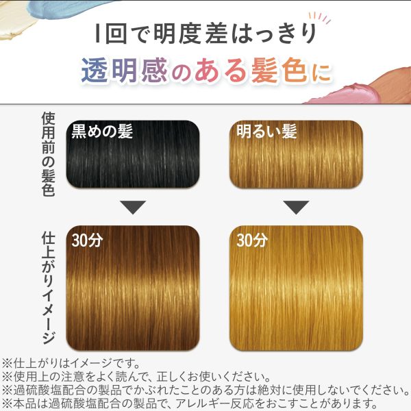 Lucido Inner Design Partial Hair Color & Bleach with Treatment Included Supply - Image 3