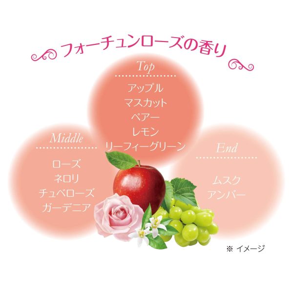 Fortune Kose Fragrance Hand Cream Moisturizing Non-Sticky Rose Scent 60G Online Hot Sale - Image 5